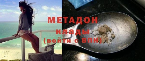 прущие грибы Карпинск