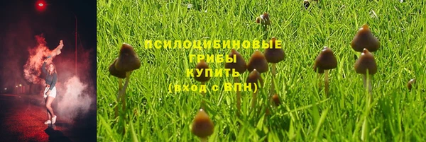 трава Каменск-Шахтинский