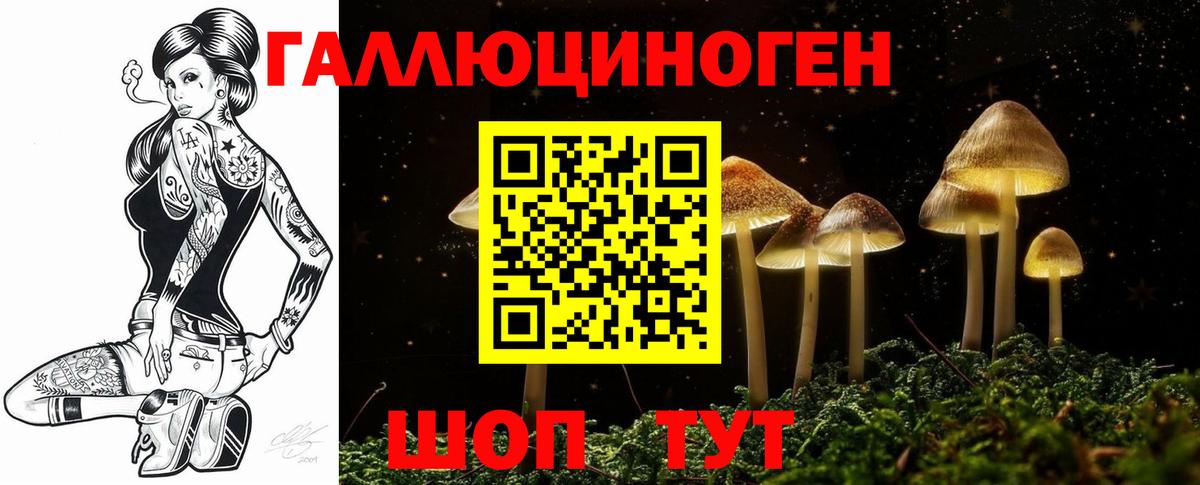 Россия  Псилоцибиновые грибы Psilocybine cubensis  Вход с VPN 